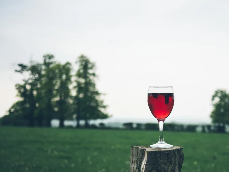 Hauswein rot 0,2 L